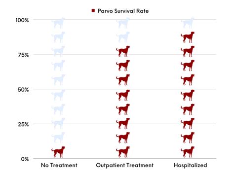 chances of surviving parvo|Parvo Survival Rate: Surprises in the Stats .